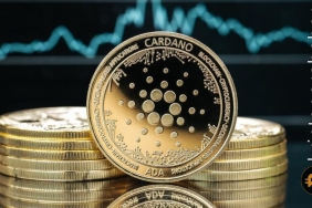 Cardano ağı yeni bir dönüm noktasına ulaştı! Fiyat etkilenecek mi?