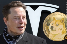 Tesla, Bitcoin varlıklarının %75'ini sattı! Dogecoin satışı oldu mu?