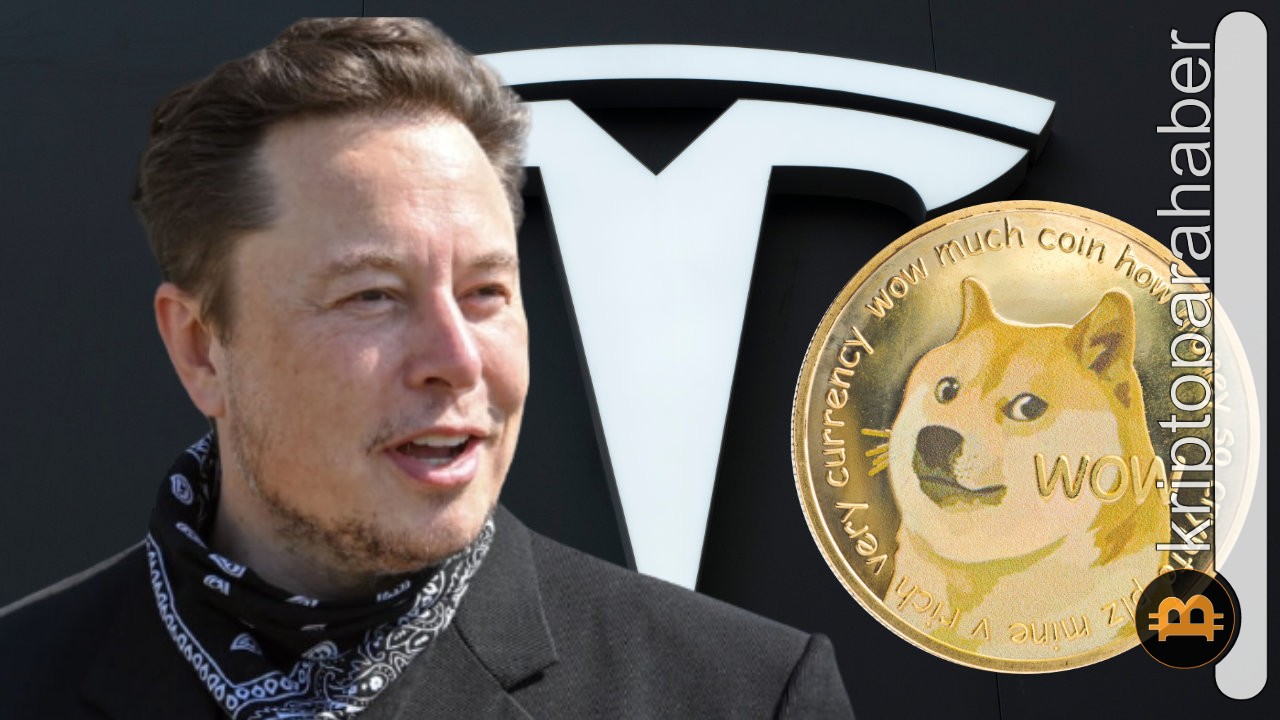 Tesla, Bitcoin varlıklarının %75'ini sattı! Dogecoin satışı oldu mu?