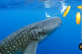 Kripto balinaları düşüşte Bitcoin alıyor!