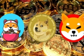 Popüler meme coin'de olumlu haberler arka arkaya geldi! Fiyata etkisi olacak mı?