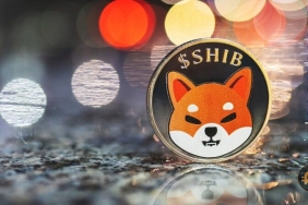 Shiba'da büyük hareketlilik var! Neler olacak?