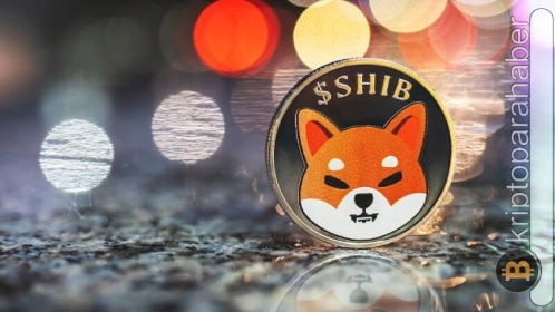Shiba’da büyük hareketlilik var! Neler olacak?