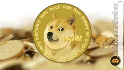 Dogecoin kurucu ortağı hakkında şok iddia! İşte detaylar