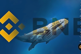 BSC balinaları bu altcoin'e yöneldi! Yükseliş kapıda!