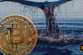 Yeni bir BTC balinasının 3 milyar dolarlık Bitcoin hareketi ne anlama geliyor?