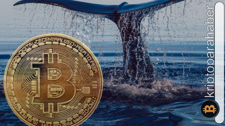 Yeni bir BTC balinasının 3 milyar dolarlık Bitcoin hareketi ne anlama geliyor?
