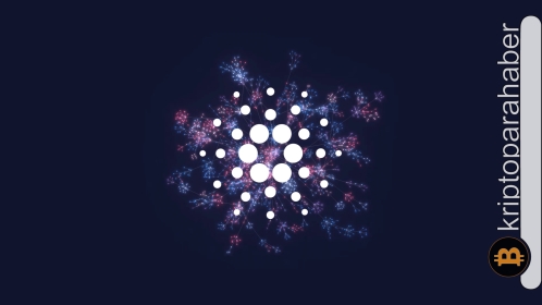 Vasil Hard Fork heyecanla beklenirken ADA, yüzde 50’lik bir düşüşle karşı karşıya!