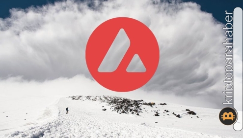 AVAX yatırımcıları dikkat! Kritik destek kırılırsa yüzde 15’lik çöküş gelebilir