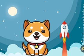 BabyDoge yakım işlemleri devam ediyor