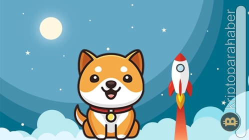 BabyDoge yakım işlemleri devam ediyor!