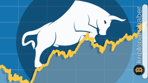 Analistler uyardı: Boğa piyasasından önce bu 2 kripto para birimine dikkat!
