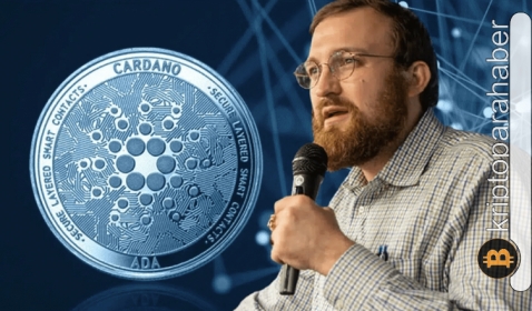 Cardano değer kaybederken kurucu Hoskinson, kripto piyasasındaki çöküş hakkında neler söyledi?