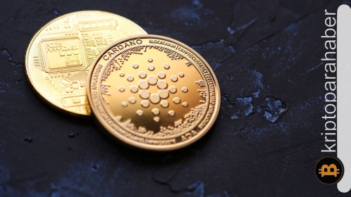 Cardano ticaret hacminde değişim: 2 aylık görünüm neye işaret?