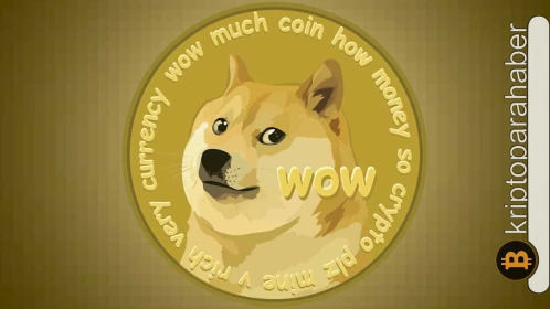 Gözde meme coin, daha fazla düşüşü engellemeye çalışıyor! Kritik seviyeler nedir?