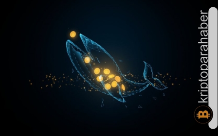 Piyasadaki satışlara rağmen balinalar, bu kripto para biriminden vazgeçmiyor! Fiyata etkisi ne olacak?