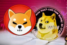 Meme coinler kritik noktada: DOGE ve SHIB yükselişe hazır mı?