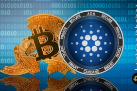 Cardano bu metrikte Bitcoin'i geride bıraktı! Ne anlama geliyor?