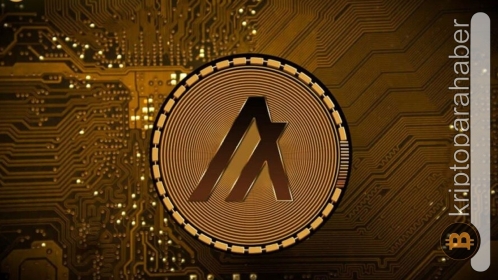 Bu altcoin yükseliş potansiyeline sahip! İşte nedeni