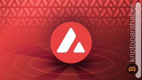 Haftanın kötü performans gösteren AVAX tokenleri…