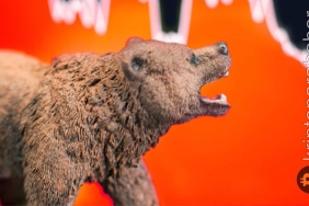 Bitcoin ayı momentumunun bitmesine ne kadar kaldı?