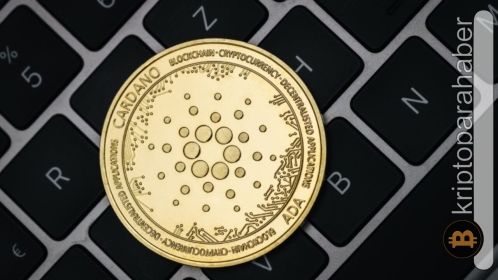 Cardano, blockchain araştırmaları için Stanford Üniversitesine yatırım yapıyor!