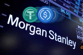 Morgen Stanley stabil coin'lerin gidişatıyla ilgili rapor yayınladı! İşte detaylar