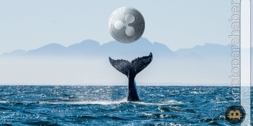 XRP balinalarında dev hareketlilik: Beklenen yükseliş yakın mı?
