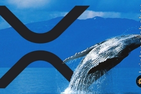 Balinalar XRP'ye akın ediyor! Fiyat daha fazla artacak mı?
