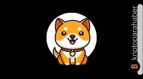 BabyDoge, rakiplerini geride bırakıyor! Yatırım için en doğru meme coin olabilir mi?