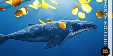 Balinalar düşüşün ortasında bu altcoin'e yöneldi!