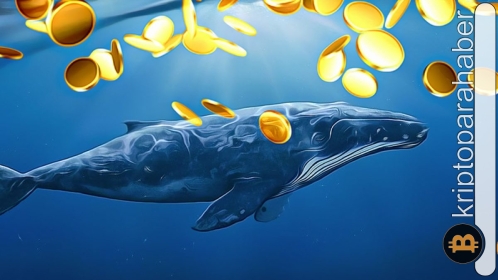 Balinalar düşüşün ortasında bu altcoin’e yöneldi!