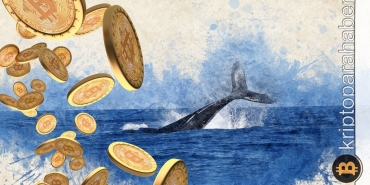 Bitcoin balinası, 5 yıl sonrasında uyandı: Telaş edilmeli mi?