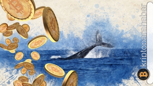 Bitcoin balinası, 5 yıl sonrasında uyandı: Telaş edilmeli mi?