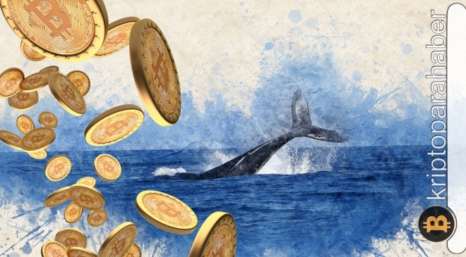 Bitcoin balinası, 5 yıl sonrasında uyandı: Telaş edilmeli mi?