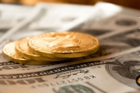 Bitcoin birikimi, son yedi yılın zirvesinde: İşte verilerin söyledikleri…