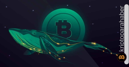 Bitcoin balina aktiviteleri, bir sonraki hareket hakkında ipuçları veriyor! Yükseliş geliyor mu?