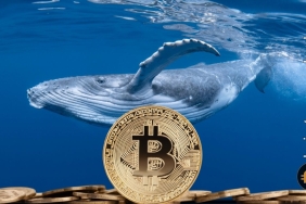 Bitcoin'in çöküşü bu nedene bağlı olabilir! Hareketler son 10 güne ait