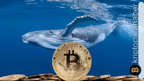 Bitcoin’in çöküşü bu nedene bağlı olabilir! Hareketler son 10 güne ait