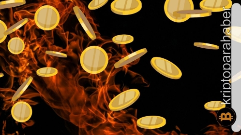 Shib topluluğu için mutluluk verici yanma oranı paylaşıldı!