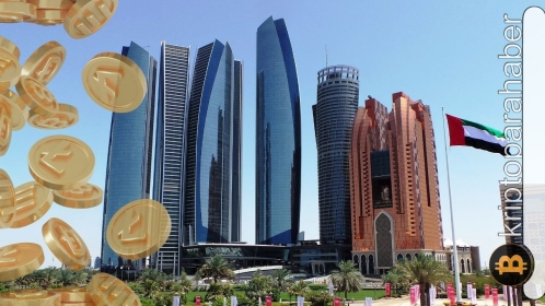 Bu rapora göre, BAE’nin ne kadarı kripto varlığına sahip?