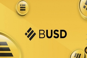 Binance borsasının stablecoin’i BUSD, yeni ağına kavuştu…