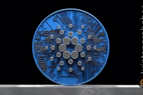Cardano için büyük gün geldi! Balina hesapları ADA'ya yöneliyor