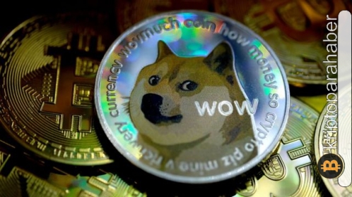 Gözde meme coin için önemli bir gelişme: Whale Alert, listesine Dogecoin’i ekledi!