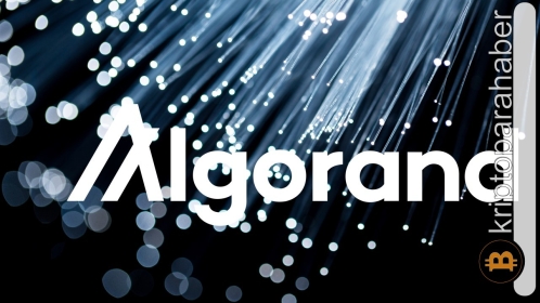 Algorand neden yükseliyor? İşte yükselişin iki potansiyel nedeni