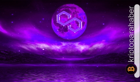 Bu altcoin, uzun vadede büyük bir düşüş eğilimi gösteriyor! Yatırımcılar endişelenmeli mi?