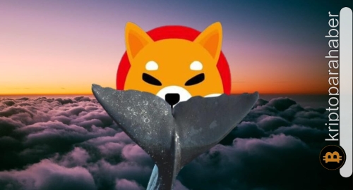 Balina aktiviteleri Shiba Inu için dibin çok yakın olduğunu gösteriyor! Nasıl fırsata çevrilir?