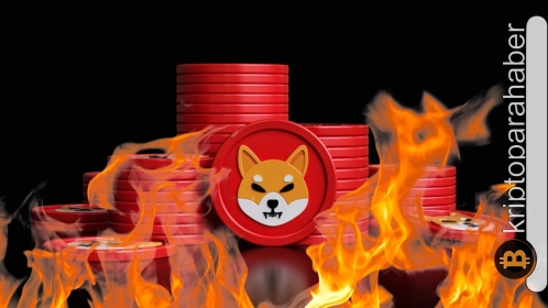 Shiba Inu satın almak için doğru zaman mı? Cevabı bu teknik verilerde…