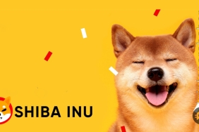 Shiba Inu Eternity güncellemesi bekleniyor! SHIB fiyatı artacak mı?