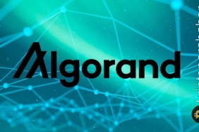 Algorand teknik analiz: Teknik göstergeler istikrarlı bir iyileşmeye işaret ediyor!